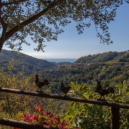 Pietrantica - Affittacamere Con Giardino Nuova Apertura A Trebiano -Citr מראה חיצוני תמונה