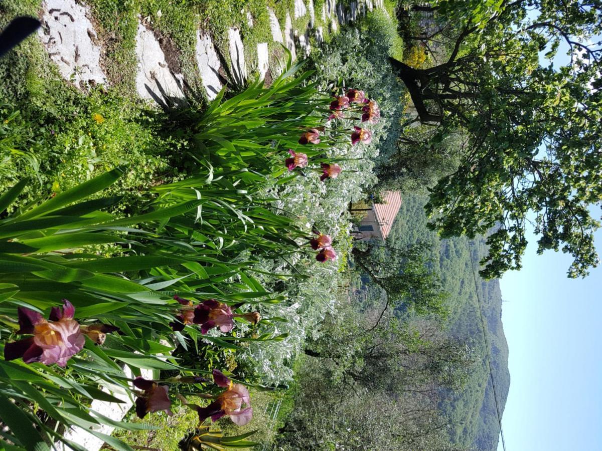 Pietrantica - Affittacamere Con Giardino Nuova Apertura A Trebiano -Citr מראה חיצוני תמונה