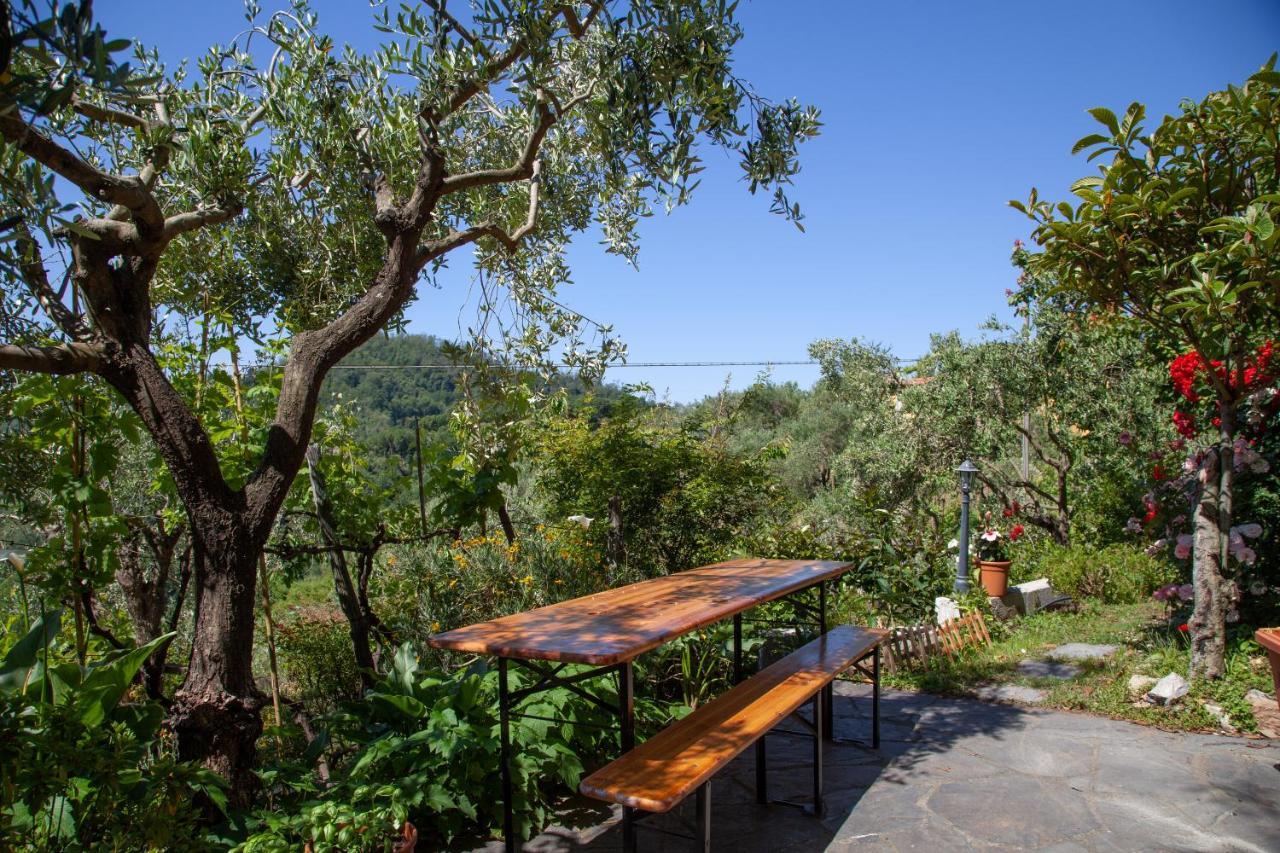 Pietrantica - Affittacamere Con Giardino Nuova Apertura A Trebiano -Citr מראה חיצוני תמונה