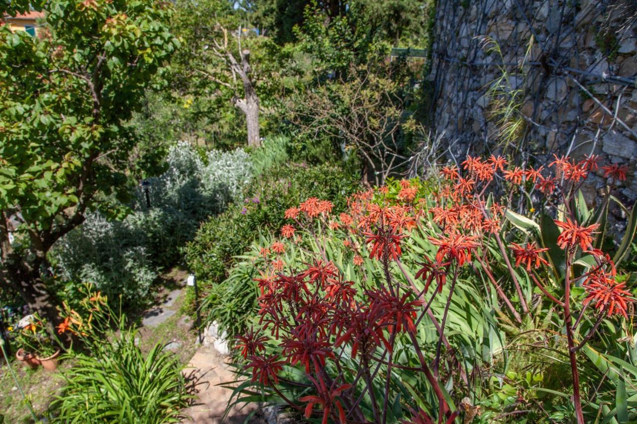 Pietrantica - Affittacamere Con Giardino Nuova Apertura A Trebiano -Citr מראה חיצוני תמונה