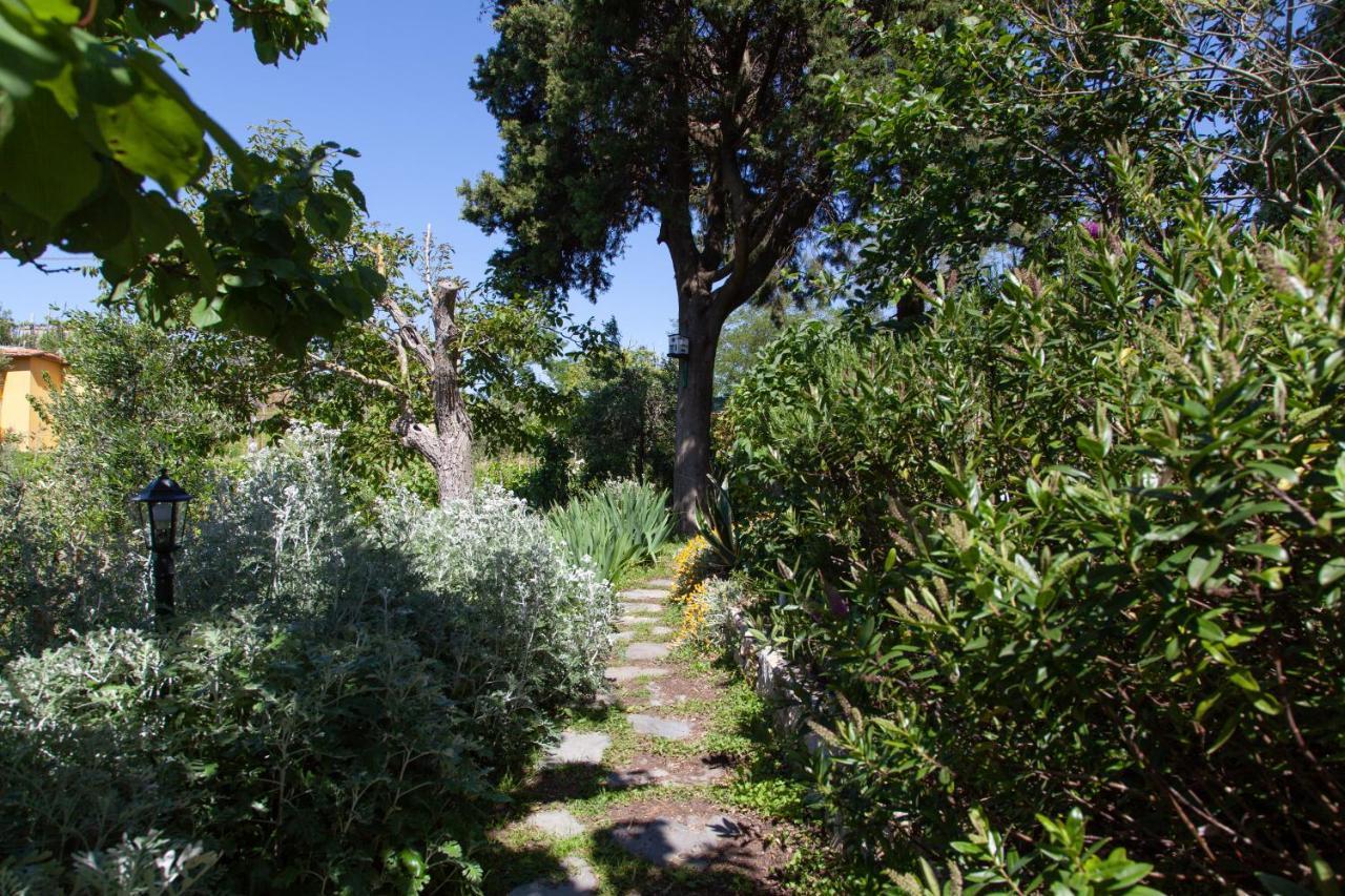 Pietrantica - Affittacamere Con Giardino Nuova Apertura A Trebiano -Citr מראה חיצוני תמונה