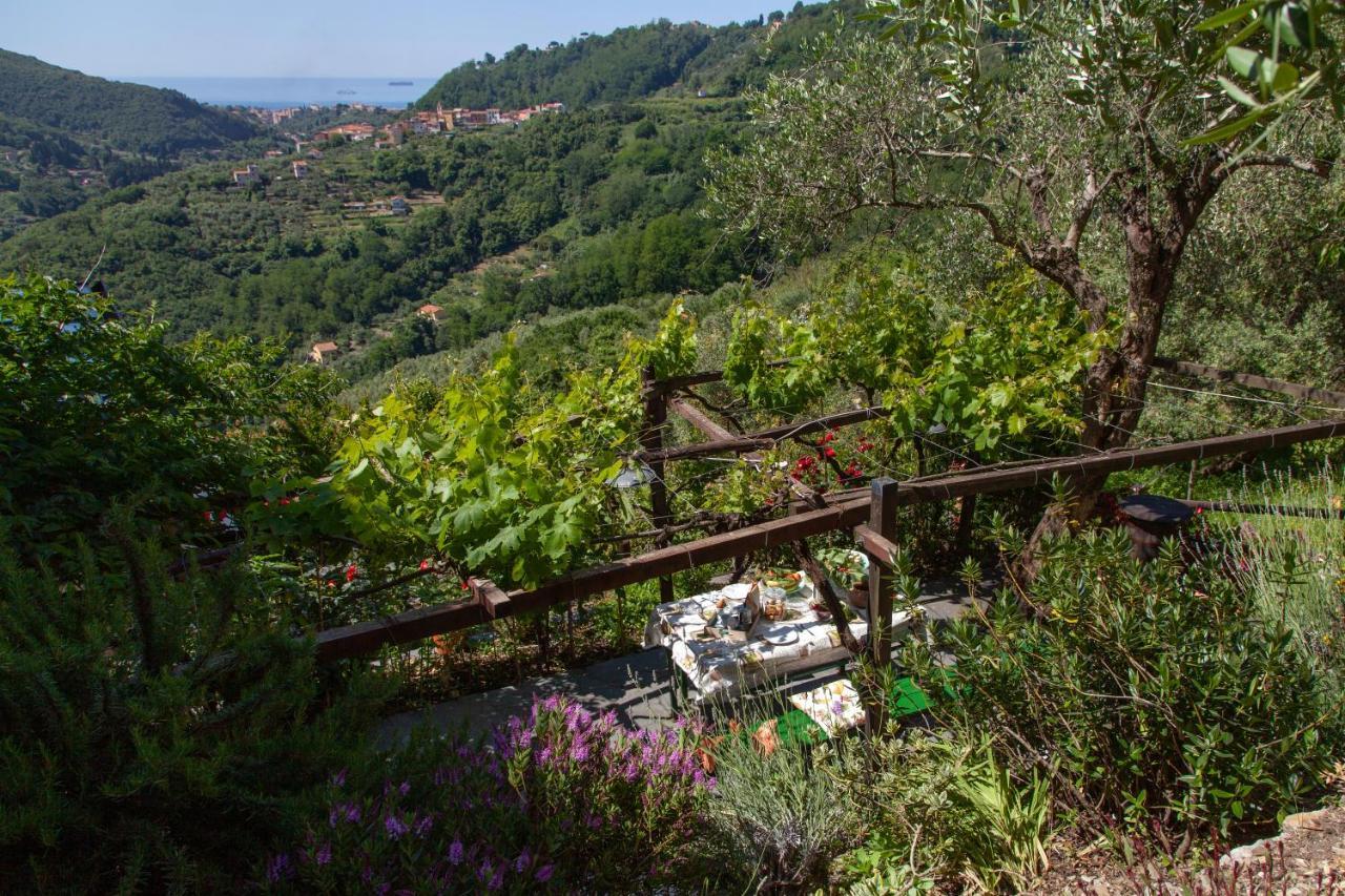 Pietrantica - Affittacamere Con Giardino Nuova Apertura A Trebiano -Citr מראה חיצוני תמונה